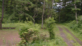 長野県菅平高原 ゆたか山荘 坂上 2026/06/29 14:45