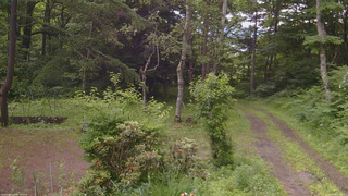 長野県菅平高原 ゆたか山荘 坂上 2026/06/29 15:00