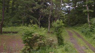 長野県菅平高原 ゆたか山荘 坂上 2026/06/29 15:15