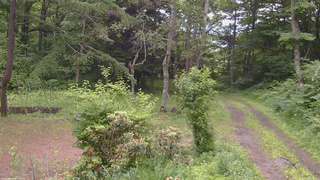 長野県菅平高原 ゆたか山荘 坂上 2026/06/29 16:15