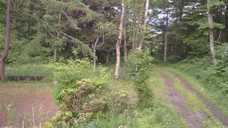 長野県菅平高原 ゆたか山荘 坂上 2026/06/29 17:15