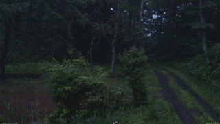 長野県菅平高原 ゆたか山荘 坂上 2026/06/29 19:15