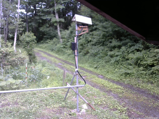 長野県菅平高原 ゆたか山荘 南側 2026/06/30 15:00