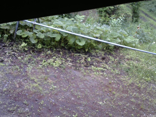 長野県菅平高原 ゆたか山荘 駐車場 2026/06/30 05:00