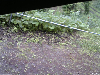 長野県菅平高原 ゆたか山荘 駐車場 2026/06/30 05:45