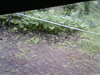 長野県菅平高原 ゆたか山荘 駐車場 2026/06/30 06:00