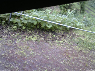 長野県菅平高原 ゆたか山荘 駐車場 2026/06/30 06:15