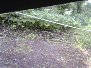 長野県菅平高原 ゆたか山荘 駐車場 2026/06/30 06:45