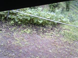 長野県菅平高原 ゆたか山荘 駐車場 2026/06/30 07:00