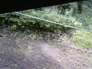 長野県菅平高原 ゆたか山荘 駐車場 2026/06/30 08:00