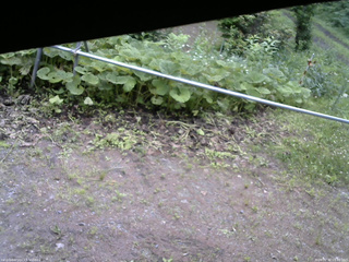 長野県菅平高原 ゆたか山荘 駐車場 2026/06/30 09:45
