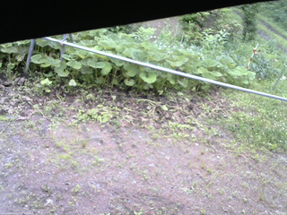 長野県菅平高原 ゆたか山荘 駐車場 2026/06/30 11:00