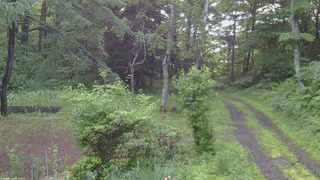 長野県菅平高原 ゆたか山荘 坂上 2026/06/30 05:00