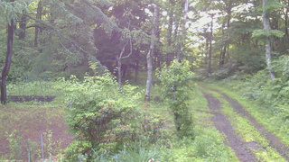 長野県菅平高原 ゆたか山荘 坂上 2026/06/30 05:15