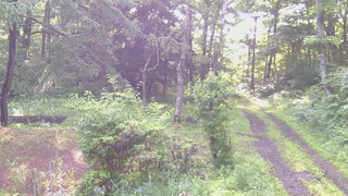長野県菅平高原 ゆたか山荘 坂上 2026/06/30 06:00