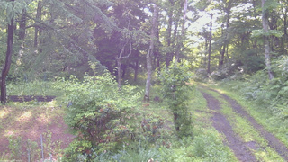 長野県菅平高原 ゆたか山荘 坂上 2026/06/30 06:15