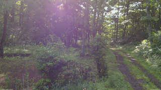長野県菅平高原 ゆたか山荘 坂上 2026/06/30 06:45