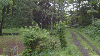 長野県菅平高原 ゆたか山荘 坂上 2026/06/30 07:00