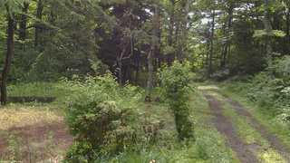 長野県菅平高原 ゆたか山荘 坂上 2026/06/30 08:15