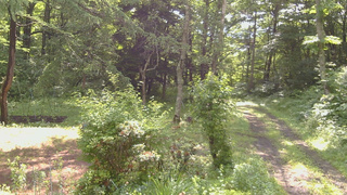 長野県菅平高原 ゆたか山荘 坂上 2026/06/30 08:30