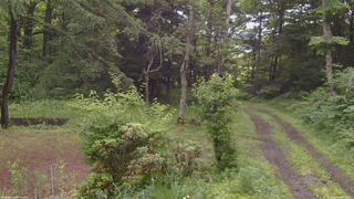長野県菅平高原 ゆたか山荘 坂上 2026/06/30 08:45