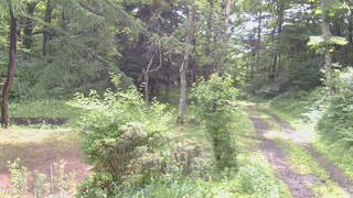 長野県菅平高原 ゆたか山荘 坂上 2026/06/30 09:00