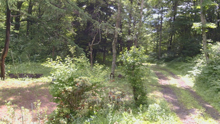 長野県菅平高原 ゆたか山荘 坂上 2026/06/30 09:15