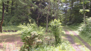 長野県菅平高原 ゆたか山荘 坂上 2026/06/30 09:30