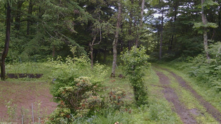 長野県菅平高原 ゆたか山荘 坂上 2026/06/30 09:45