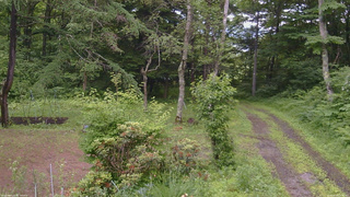 長野県菅平高原 ゆたか山荘 坂上 2026/06/30 10:00