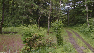 長野県菅平高原 ゆたか山荘 坂上 2026/06/30 10:15