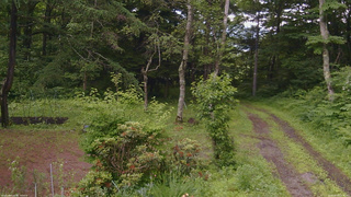 長野県菅平高原 ゆたか山荘 坂上 2026/06/30 10:45