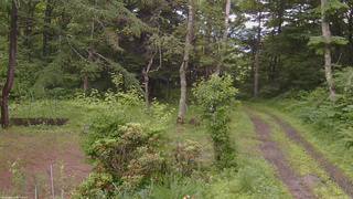 長野県菅平高原 ゆたか山荘 坂上 2026/06/30 11:00