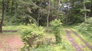 長野県菅平高原 ゆたか山荘 坂上 2026/06/30 11:15