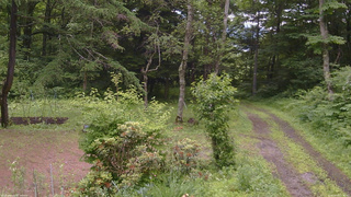 長野県菅平高原 ゆたか山荘 坂上 2026/06/30 11:30