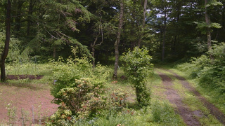 長野県菅平高原 ゆたか山荘 坂上 2026/06/30 12:00