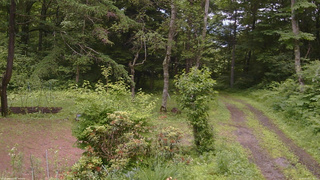 長野県菅平高原 ゆたか山荘 坂上 2026/06/30 12:15