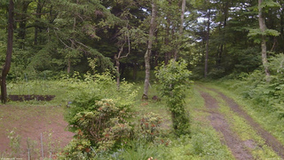 長野県菅平高原 ゆたか山荘 坂上 2026/06/30 12:30