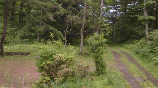 長野県菅平高原 ゆたか山荘 坂上 2026/06/30 12:45