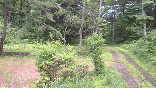 長野県菅平高原 ゆたか山荘 坂上 2026/06/30 13:00