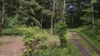 長野県菅平高原 ゆたか山荘 坂上 2026/06/30 14:00