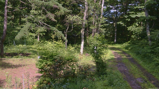 長野県菅平高原 ゆたか山荘 坂上 2026/06/30 14:30