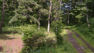 長野県菅平高原 ゆたか山荘 坂上 2026/06/30 14:45