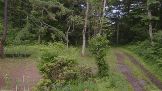長野県菅平高原 ゆたか山荘 坂上 2026/06/30 15:00