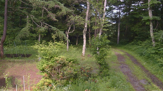長野県菅平高原 ゆたか山荘 坂上 2026/06/30 15:30