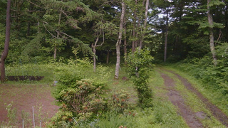 長野県菅平高原 ゆたか山荘 坂上 2026/06/30 16:15