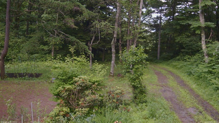 長野県菅平高原 ゆたか山荘 坂上 2026/06/30 16:30