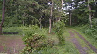 長野県菅平高原 ゆたか山荘 坂上 2026/06/30 16:45