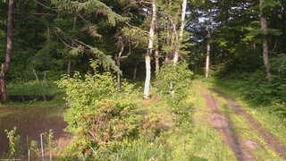長野県菅平高原 ゆたか山荘 坂上 2026/06/30 17:00