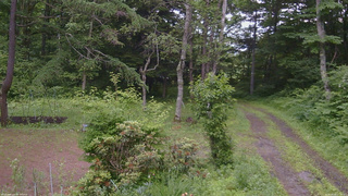 長野県菅平高原 ゆたか山荘 坂上 2026/06/30 17:15